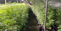 Efficiently Operating “OLCC Tier 2, Hybrid Producer For Sale in Oregon