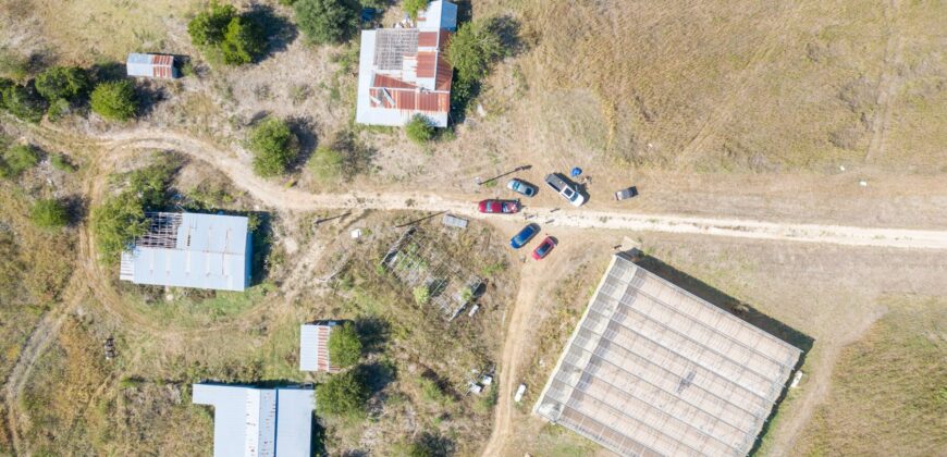 10,000 Sqft Greenhouse Near the Capital of Texas