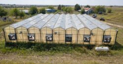 10,000 Sqft Greenhouse Near the Capital of Texas