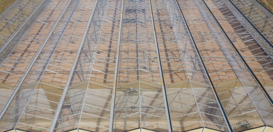 10,000 Sqft Greenhouse Near the Capital of Texas