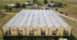 10,000 Sqft Greenhouse Near the Capital of Texas