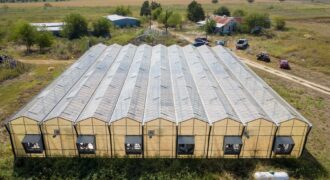 10,000 Sqft Greenhouse Near the Capital of Texas