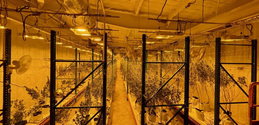 TURNKEY Exotic Cannabis Cultivation 125 lights + Space for 700 Lights