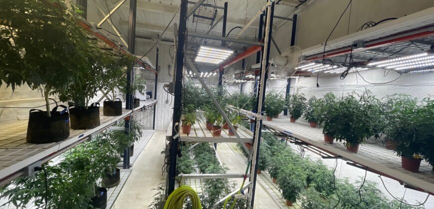 TURNKEY Exotic Cannabis Cultivation 125 lights + Space for 700 Lights