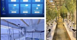 TURNKEY Exotic Cannabis Cultivation 125 lights + Space for 700 Lights