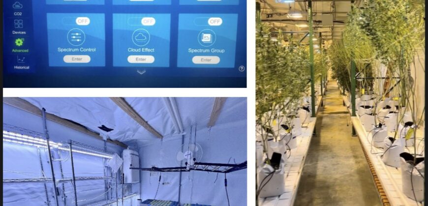 TURNKEY Exotic Cannabis Cultivation 125 lights + Space for 700 Lights
