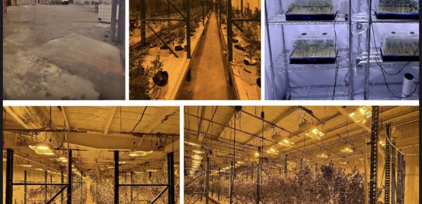 TURNKEY Exotic Cannabis Cultivation 125 lights + Space for 700 Lights