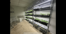 Turn-Key Indoor Cannabis Cultivation Sale – OKC