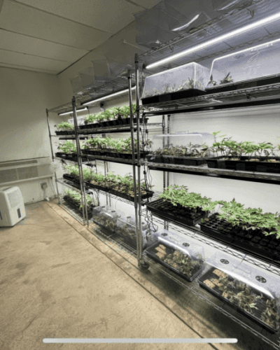 Turn-Key Indoor Cannabis Cultivation Sale – OKC