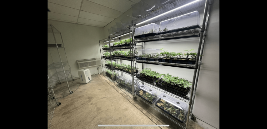 Turn-Key Indoor Cannabis Cultivation Sale – OKC