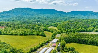 43.37 Acre Organic Farm with 2 Fully Automated Light Deprivation Greenhouses For Sale in North Carolina