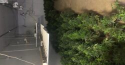 Turnkey Grow Facility with License for Lease in Harrah Oklahoma