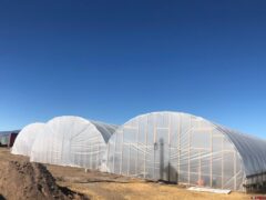 1.087 Acre Grow Lot For Sale in Colorado