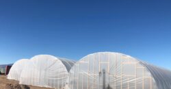 1.087 Acre Grow Lot For Sale in Colorado