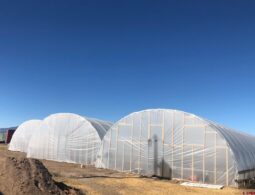 1.087 Acre Grow Lot For Sale in Colorado