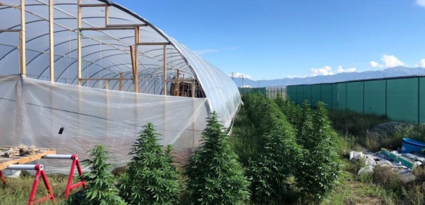 1.087 Acre Grow Lot For Sale in Colorado