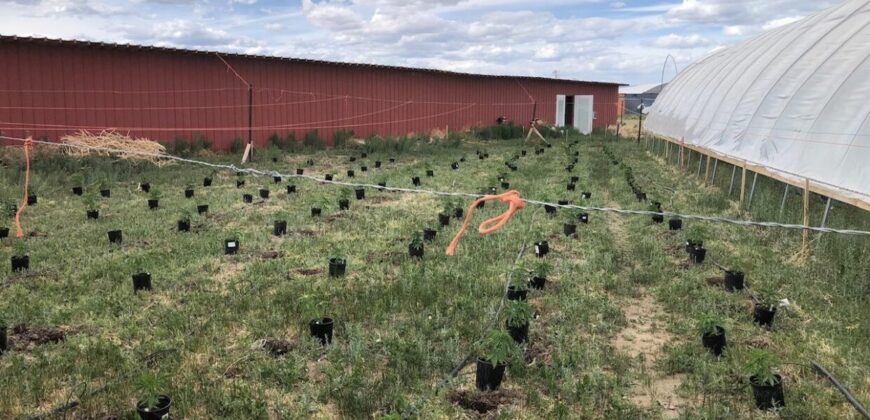 1.087 Acre Grow Lot For Sale in Colorado