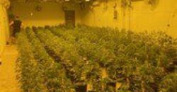 Turnkey Grow Facility with License for Lease in Harrah Oklahoma