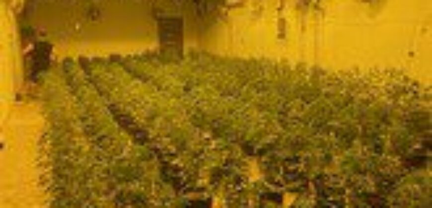 Turnkey Grow Facility with License for Lease in Harrah Oklahoma