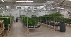 Fully Operating Turnkey Cannabis & Processing Business For Sale in Oklahoma