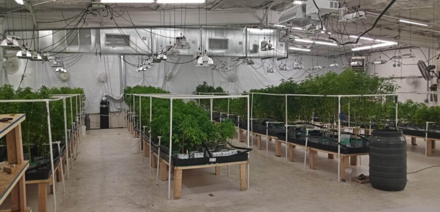 Fully Operating Turnkey Cannabis & Processing Business For Sale in Oklahoma