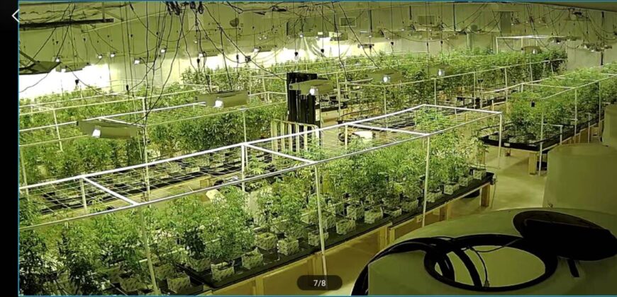 Fully Operating Turnkey Cannabis & Processing Business For Sale in Oklahoma
