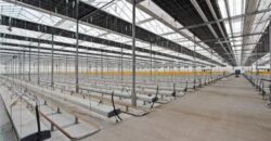 Turnkey Hydroponic Cultivation and Processing Facility For Sale in Pennsylvania