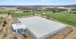 Turnkey Hydroponic Cultivation and Processing Facility For Sale in Pennsylvania