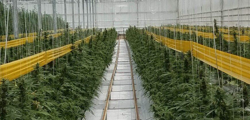 Turnkey Hydroponic Cultivation and Processing Facility For Sale in Pennsylvania