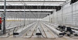 Turnkey Hydroponic Cultivation and Processing Facility For Sale in Pennsylvania