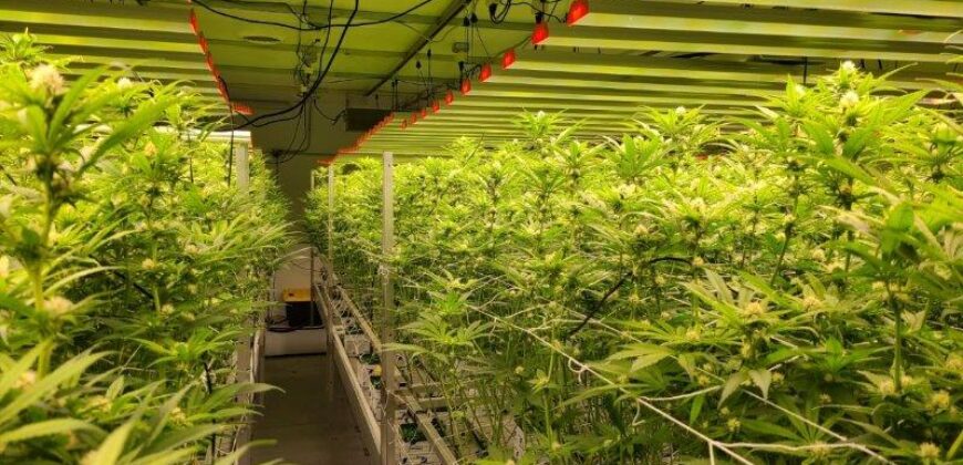 CANNABIS FACILITY – ACTIVE GROW LICENSE!! GUTHRIE, OKLAHOMA FOR SALE