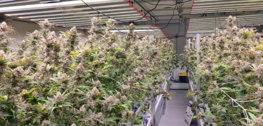 CANNABIS FACILITY – ACTIVE GROW LICENSE!! GUTHRIE, OKLAHOMA FOR SALE