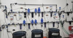 State of the Art, Turn-key Tier 2 OLCC Licensed Indoor Grow in Oregon