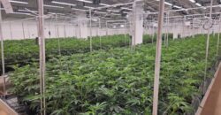 State of the Art, Turn-key Tier 2 OLCC Licensed Indoor Grow in Oregon