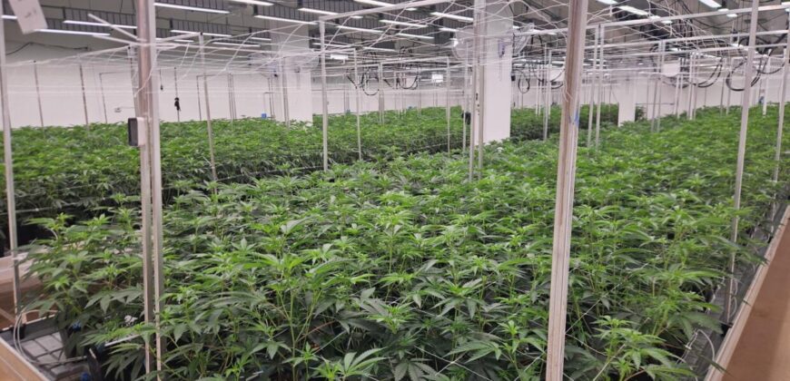 State of the Art, Turn-key Tier 2 OLCC Licensed Indoor Grow in Oregon