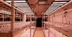State of the Art, Turn-key Tier 2 OLCC Licensed Indoor Grow in Oregon