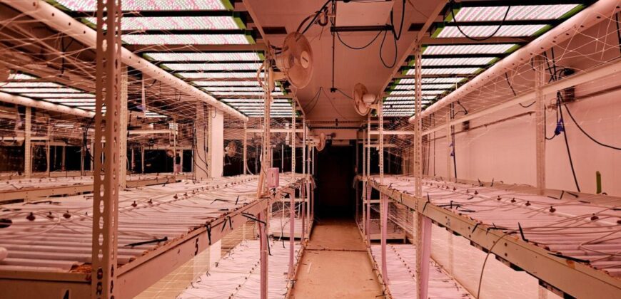State of the Art, Turn-key Tier 2 OLCC Licensed Indoor Grow in Oregon
