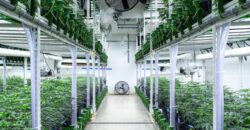 State of the Art, Turn-key Tier 2 OLCC Licensed Indoor Grow in Oregon