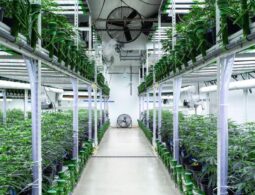 State of the Art, Turn-key Tier 2 OLCC Licensed Indoor Grow in Oregon