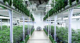 State of the Art, Turn-key Tier 2 OLCC Licensed Indoor Grow in Oregon