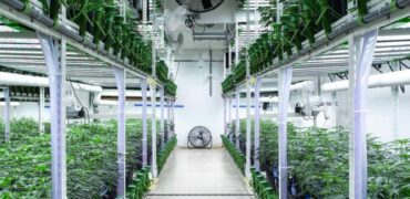 State of the Art, Turn-key Tier 2 OLCC Licensed Indoor Grow in Oregon