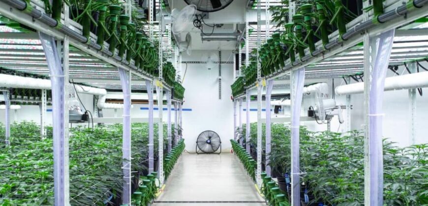 State of the Art, Turn-key Tier 2 OLCC Licensed Indoor Grow in Oregon