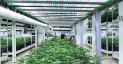State of the Art, Turn-key Tier 2 OLCC Licensed Indoor Grow in Oregon