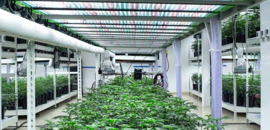 State of the Art, Turn-key Tier 2 OLCC Licensed Indoor Grow in Oregon